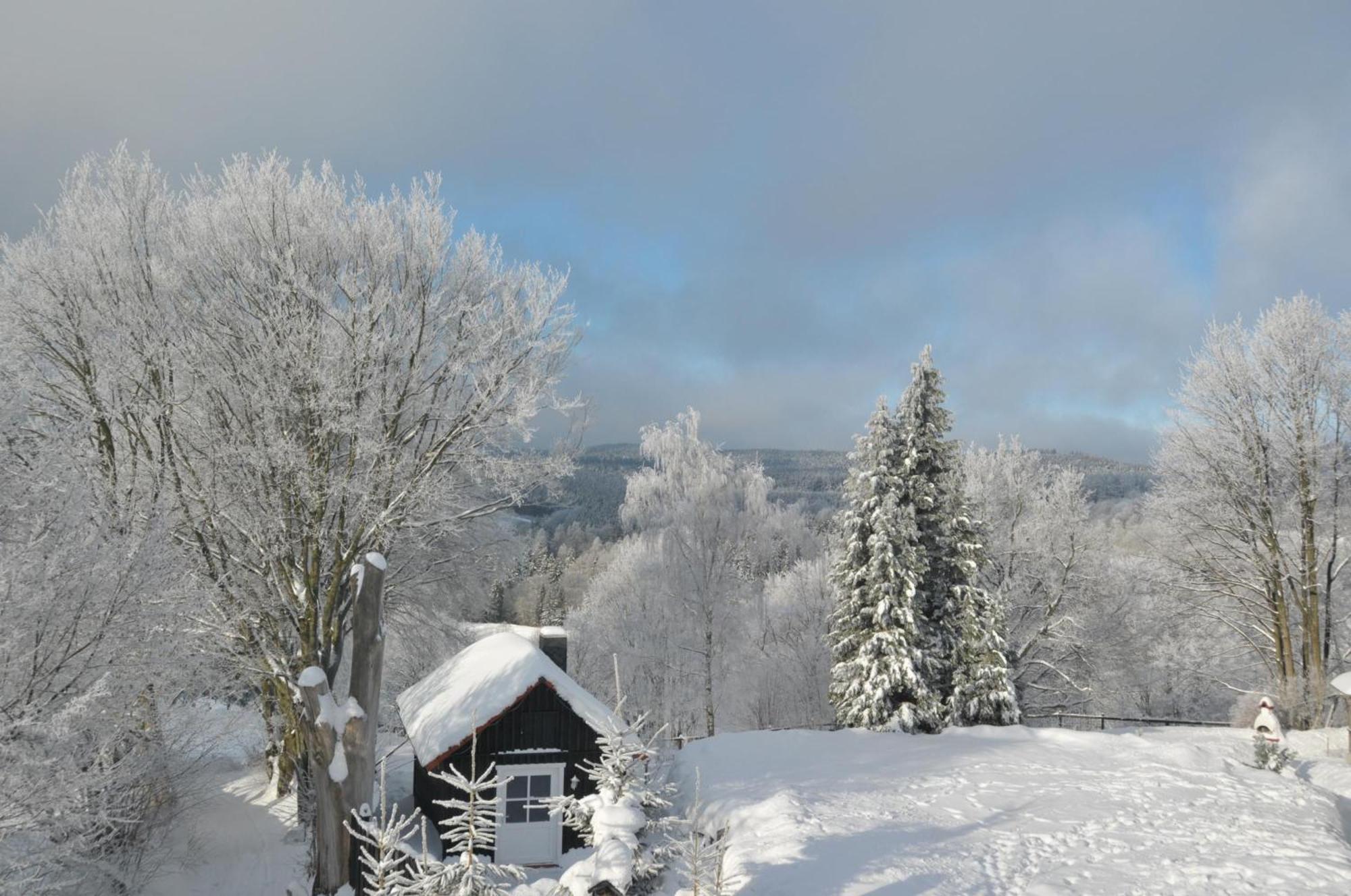 Ferienhaus Mit Spielplatz, Garten Und Fernsicht Braunlage Dış mekan fotoğraf